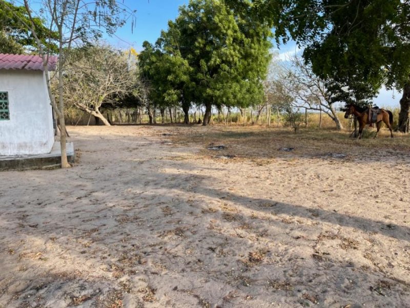 Finca en Venta en  Polonuevo, Atlántico
