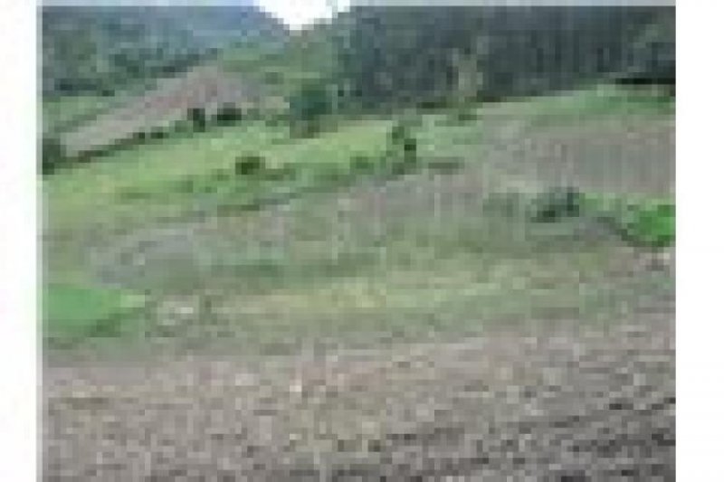 Foto Finca en Venta en Ubaque Choachi, , Cundinamarca - $ 15.000.000 - FIV29242 - BienesOnLine