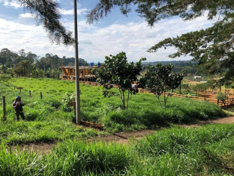 Lote en Venta en El cairo Cajibio, Cauca