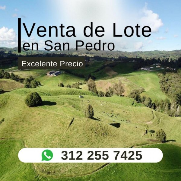 Lote en Venta en  San Pedro de los Milagros, Antioquia