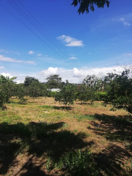 Lote en Venta en  Floridablanca, Santander