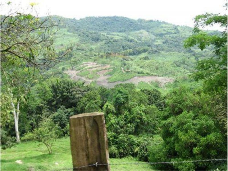 Foto Lote en Venta en Vereda Basal Villeta Cundinamarca, Villeta, Cundinamarca - $ 120.000.000 - LOV30217 - BienesOnLine