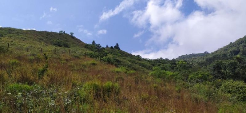 Lote en Venta en Vereda Villa Maria Vijes, Valle del Cauca